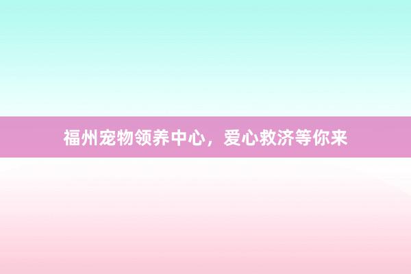 福州宠物领养中心,爱心救济等你来
